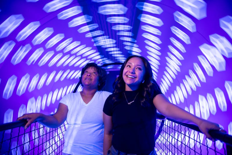 Museum of Illusions