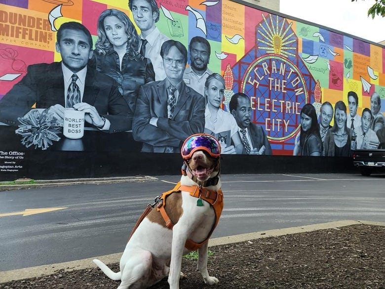Wally visits "The Office" mural in Scranton