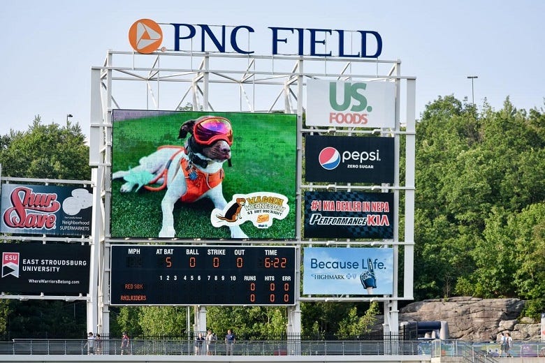 Wally on the scoreboard at PNC Field