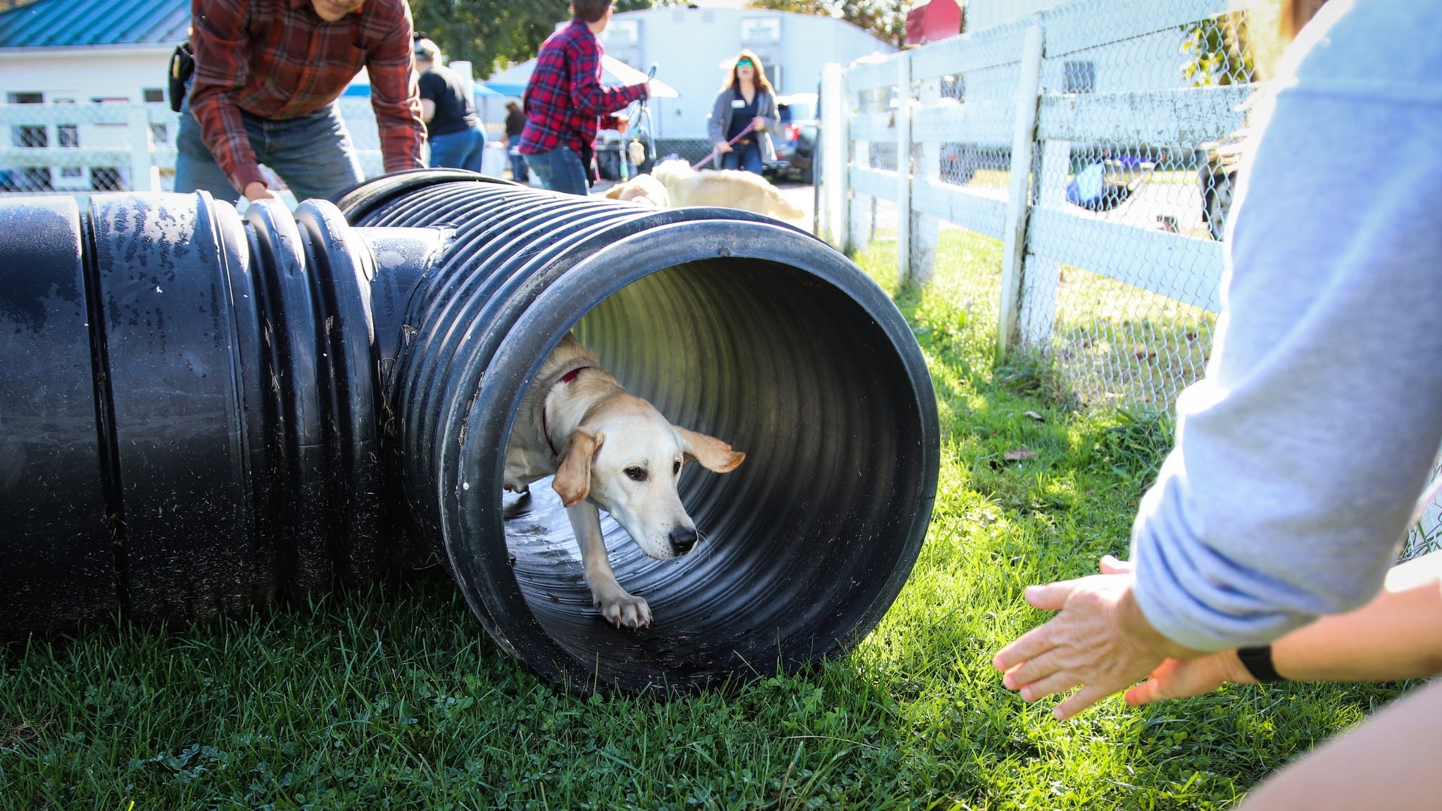 WCC dogs rule at University of Pennsylvania
