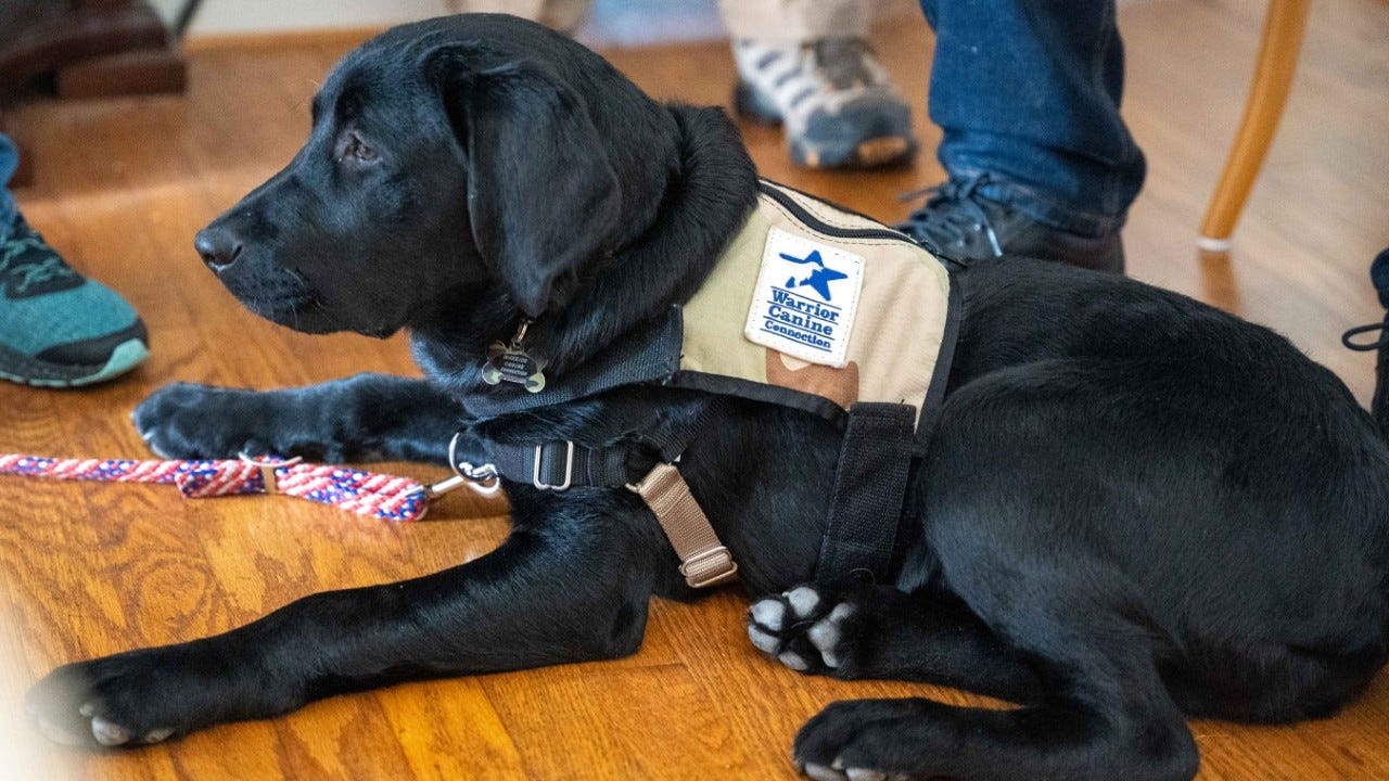 World War II veteran meets his Warrior Canine Connection namesake