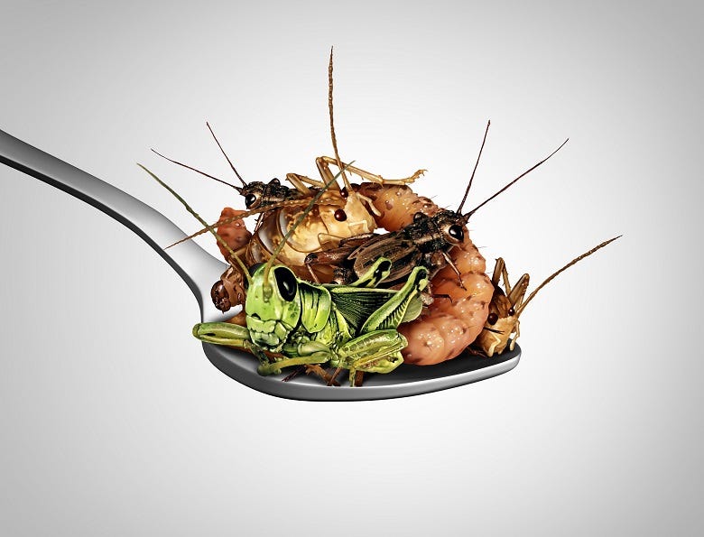 spoonful of insects