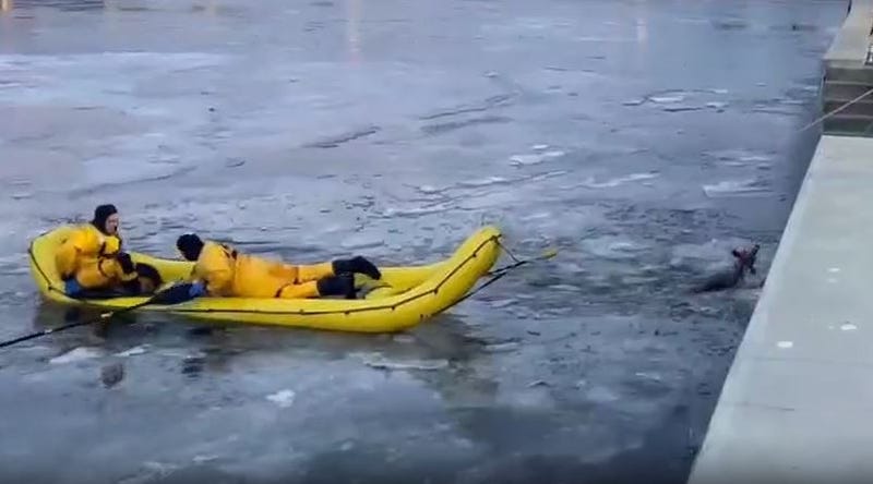ice rescue
