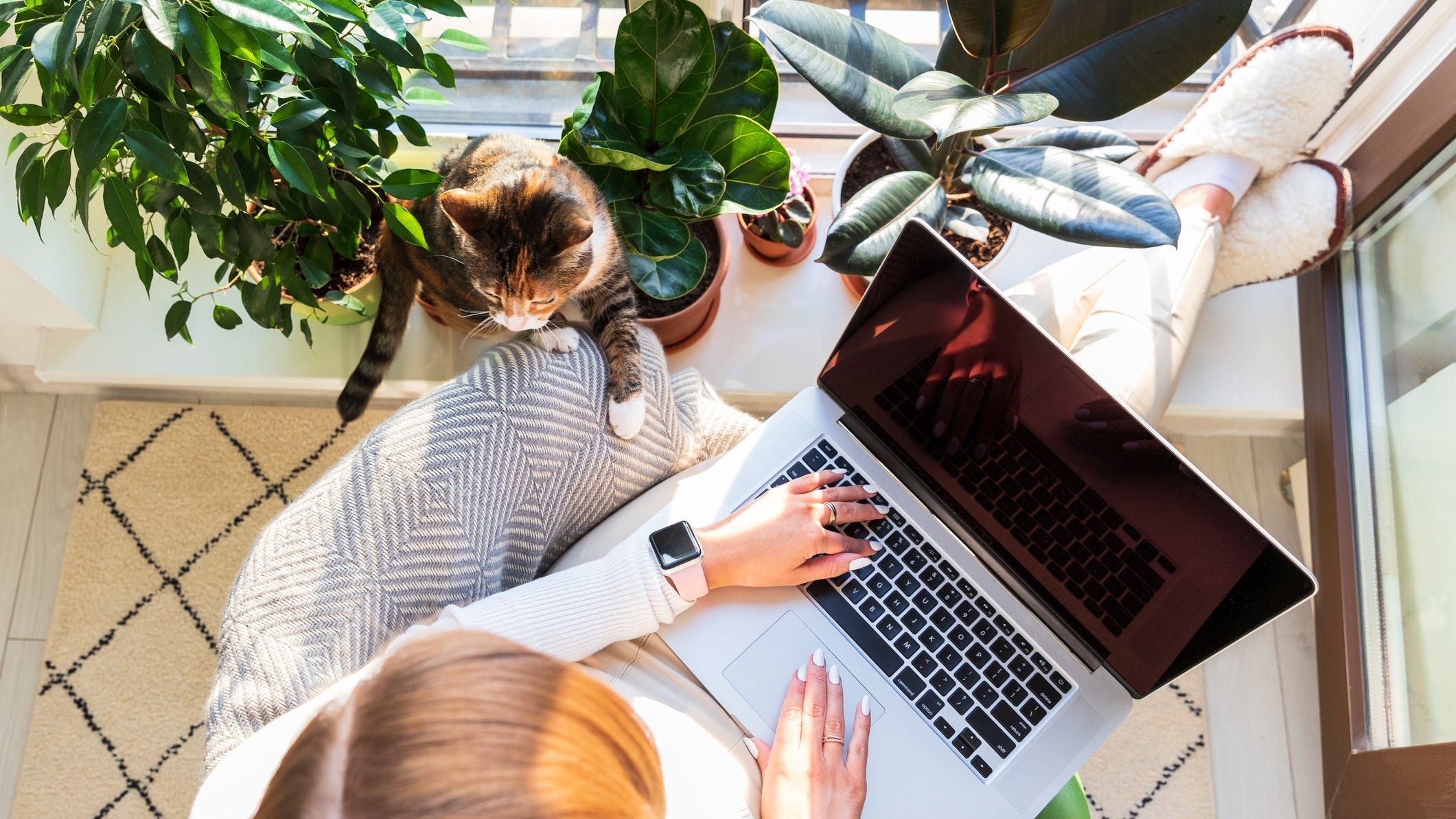 Gen Z hates to work from home: study