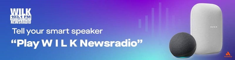 Smart Speaker WILK