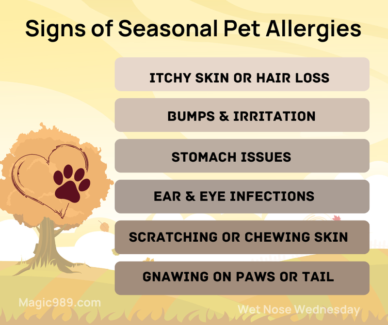 Fall Seasonal Allergy Warning Signs