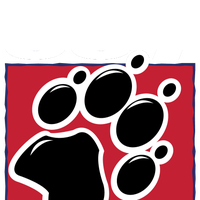 99.7 The Wolf logo
