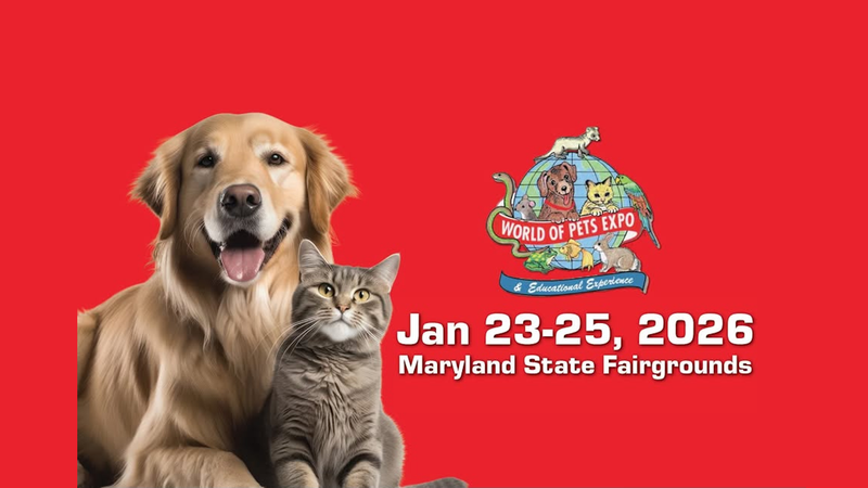 World of Pets Expo art