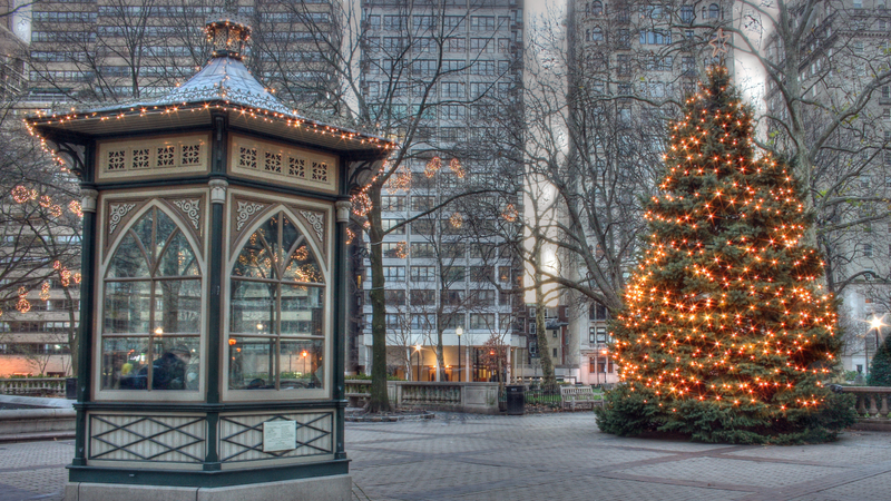 Decorated Christmas tree in Philadelphia, PA