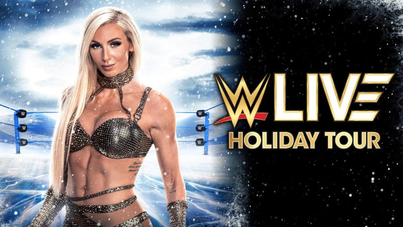 WWE Live Holiday Tour