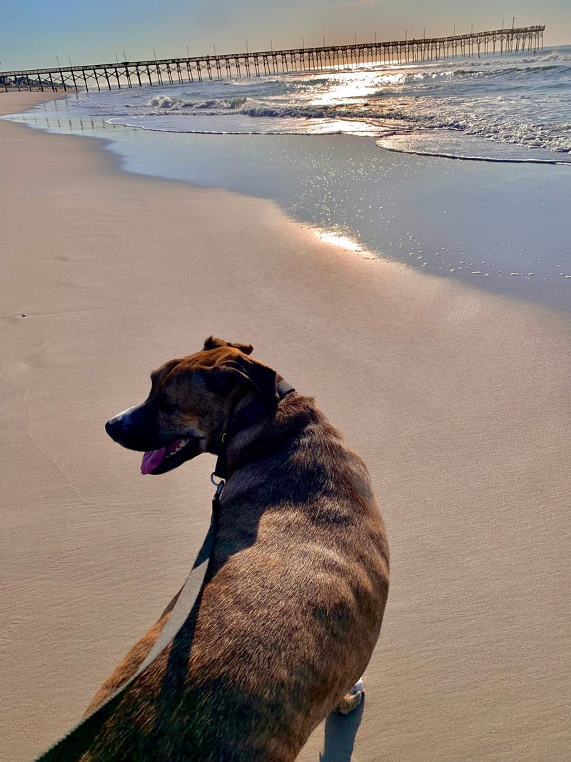 Alanna and Wade enjoy an early morning walk on the beach