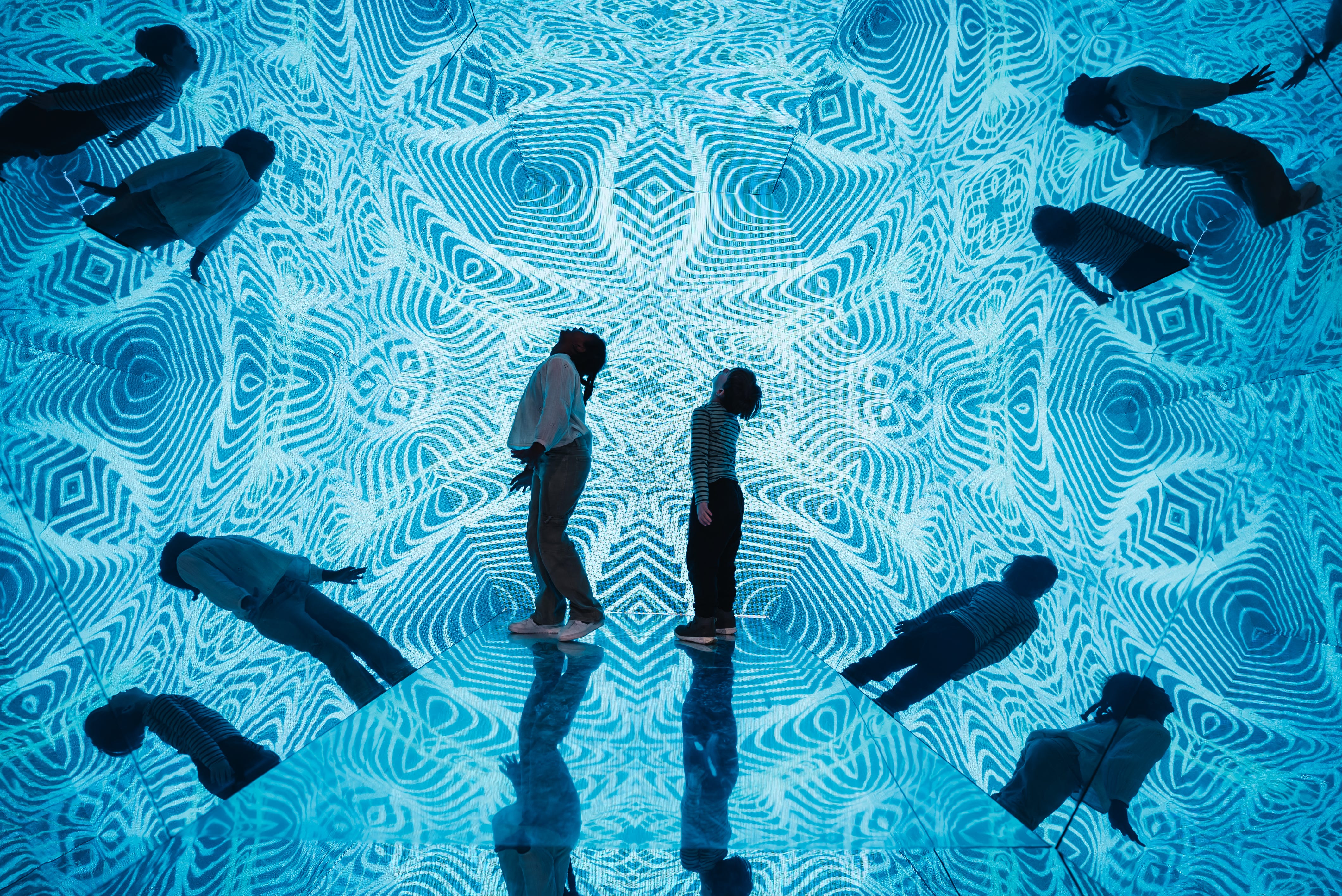 希少　A Journey Through Illusions 希少 A Journey Through Illusions 希少 A Journey Through Illusions