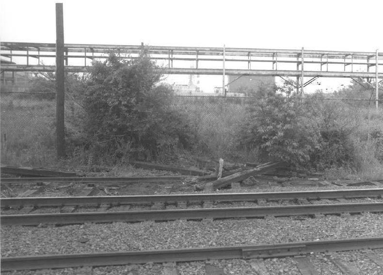 The location near where Denise Pierson's body was buried in 1981, and was found three years later.