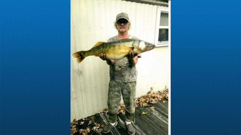 Walleye