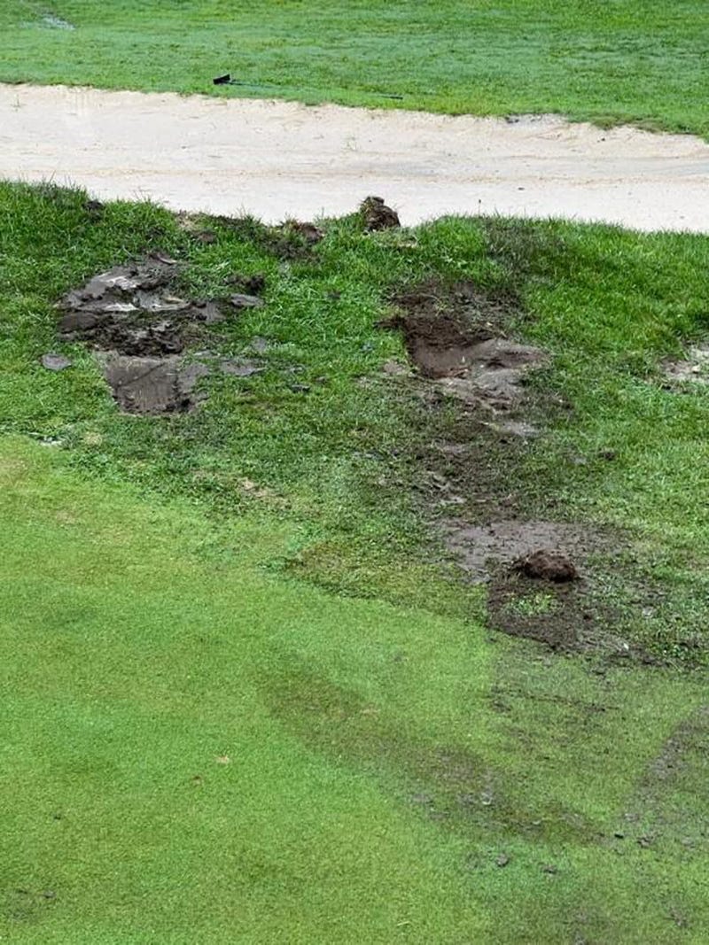 Damage to the Warren Valley Golf Course in Dearborn Heights caused by vandals on a golf cart