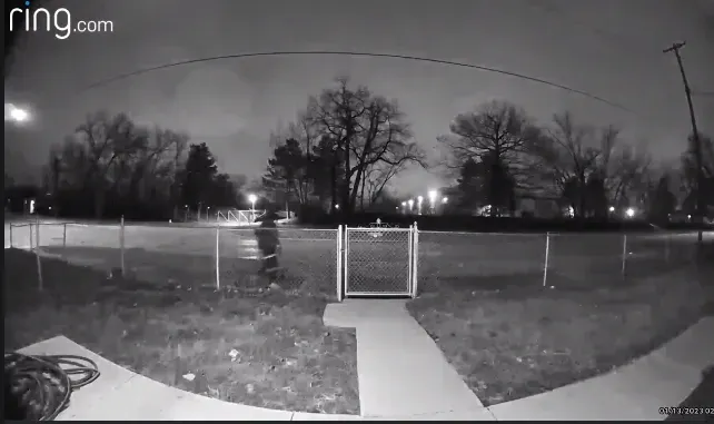 Man walking by fence with ladder