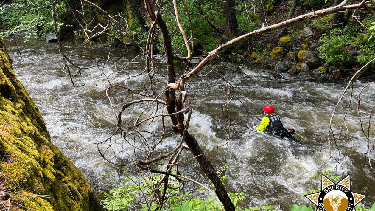 Northern California man drowns after trying to rescue dogs