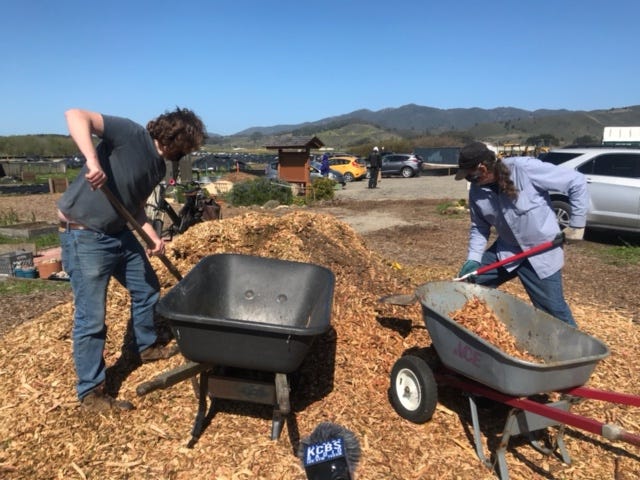 Shoveling is part of the job at the Big Wave Project in Half Moon Bay.