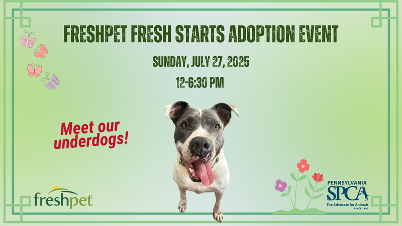 PSPCA Freshpet Fresh Starts Adoption Event