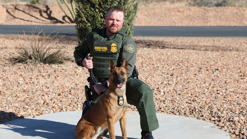 Border agent and dog