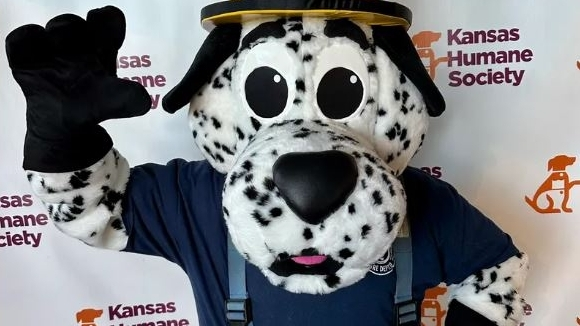 New Mascot