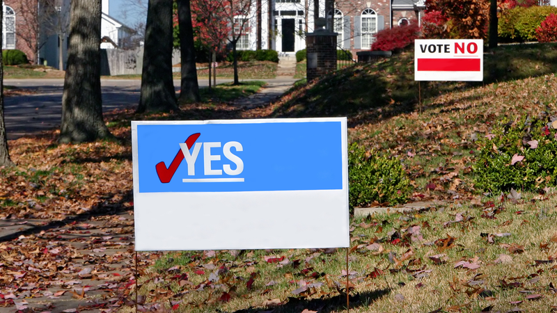 Campaign Lawn Signs Election