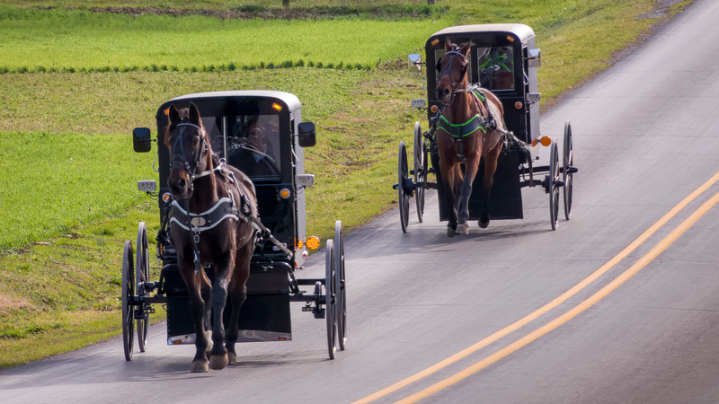 Missouri Amish Buggy Wedding