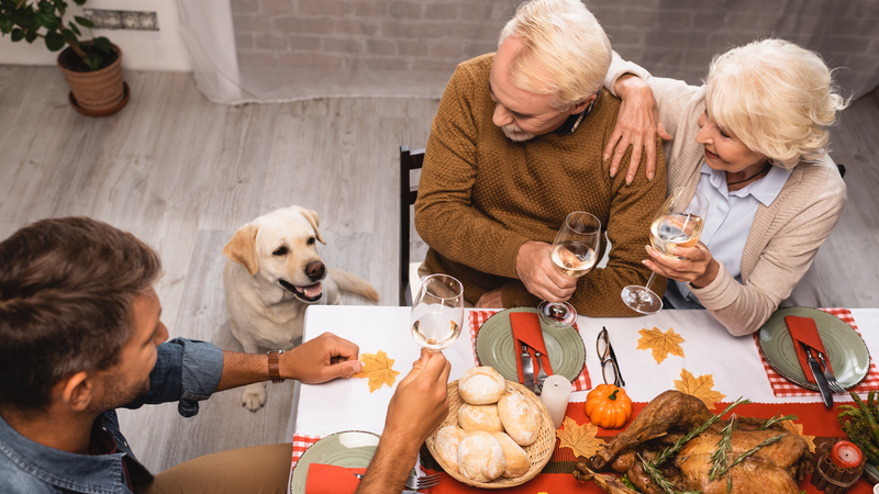 Dog at Thanksgiving table