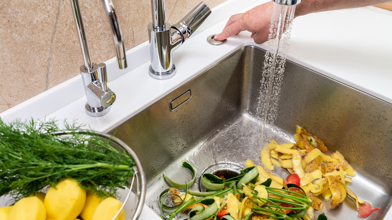 Food surrounding garbage disposal