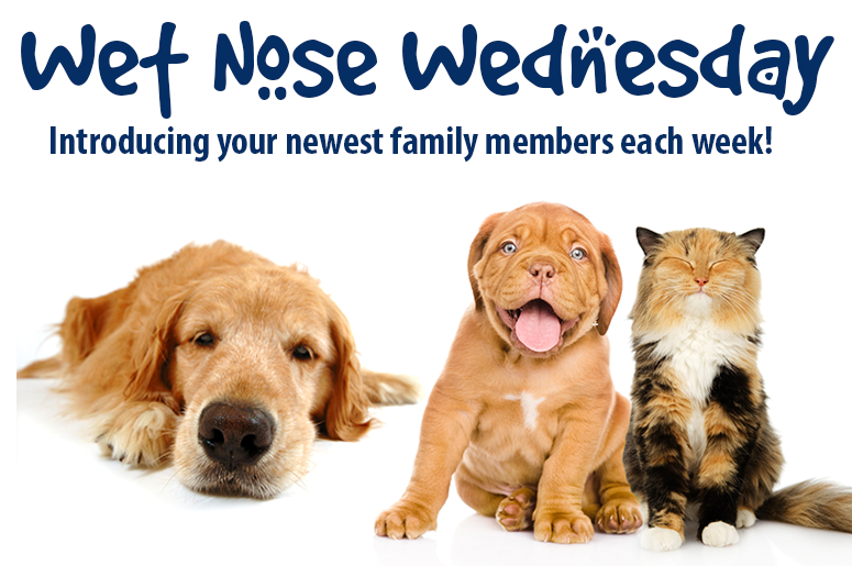 Wet Nose Wednesday