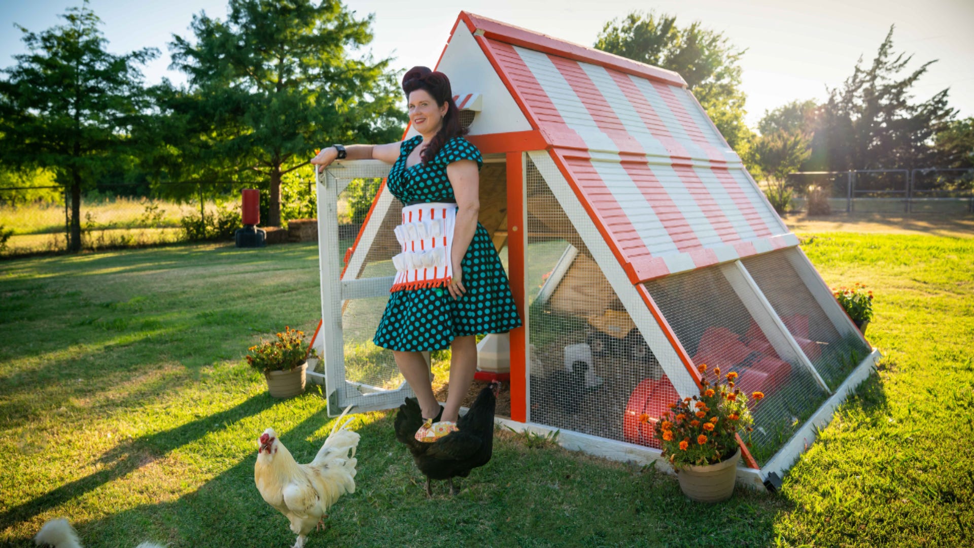 Ultimate Whataburger Fan Builds Adorable ‘Whatacoop’ for Flock of Chickens