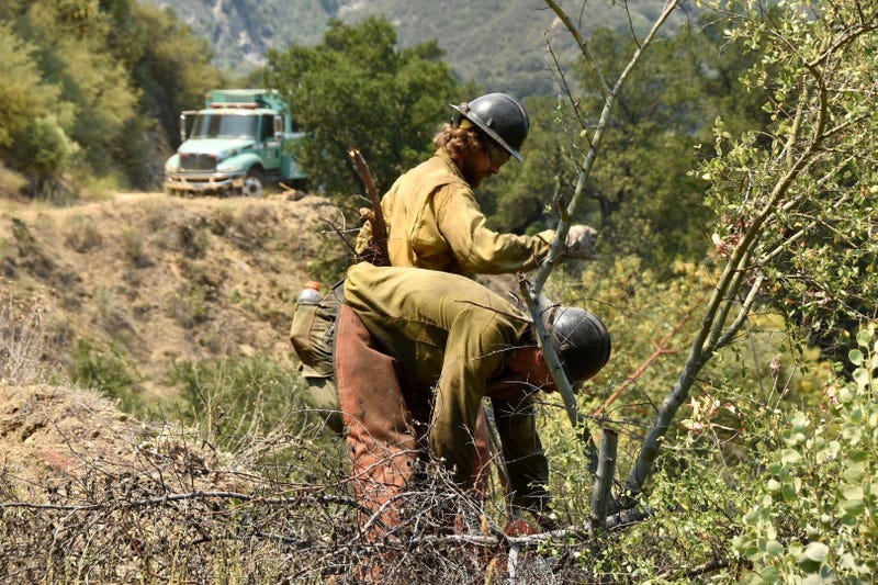 Firefighters work to clear brush at the Willow Fire.
