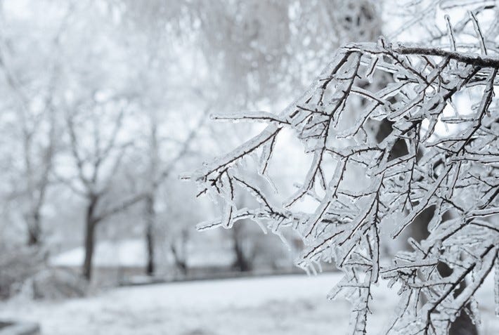 October snowstorm