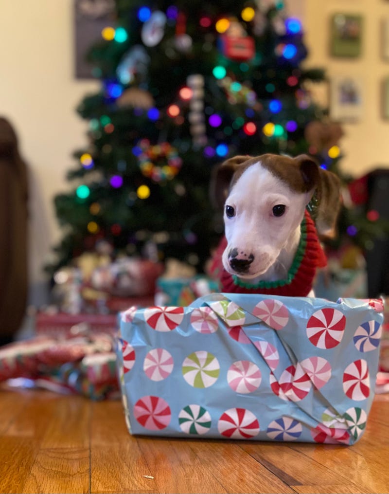 What's in this gift wobbles?