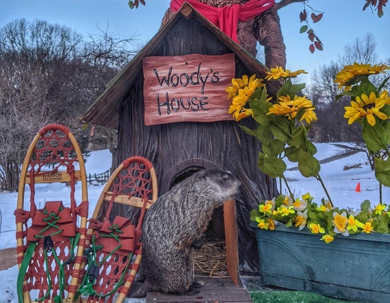 Woody The Woodchuck predicted a long winter Saturday morning after the resident critter saw her shadow at the Howell Nature Center.