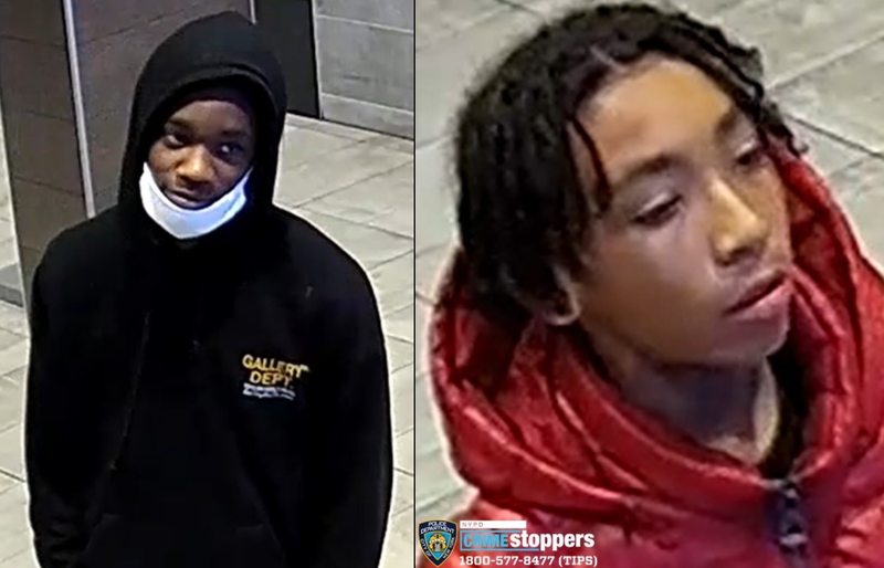 Police are searching for two suspects in a violent robbery on a 31-year-old woman in Brooklyn on Nov. 6