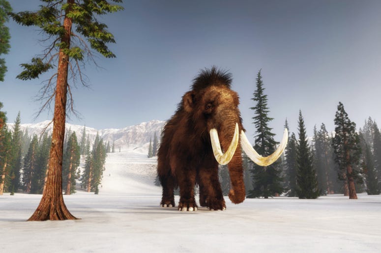 Wooly_Mammoth