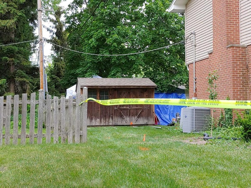 yard