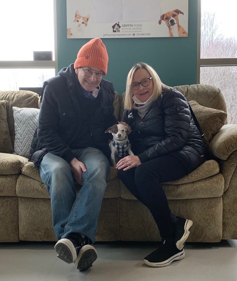 Meeting Yogi at Griffin Pond