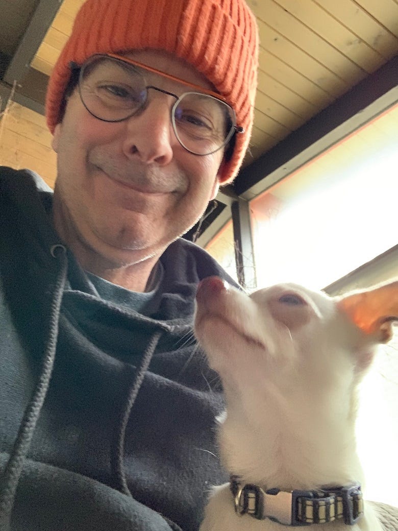 Rock & Yogi