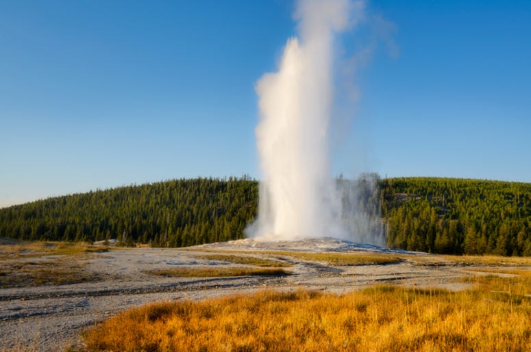 Yellowstone