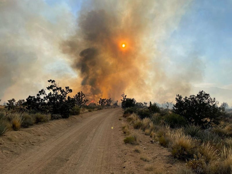 The York Fire burns in the Mojave National Preserve