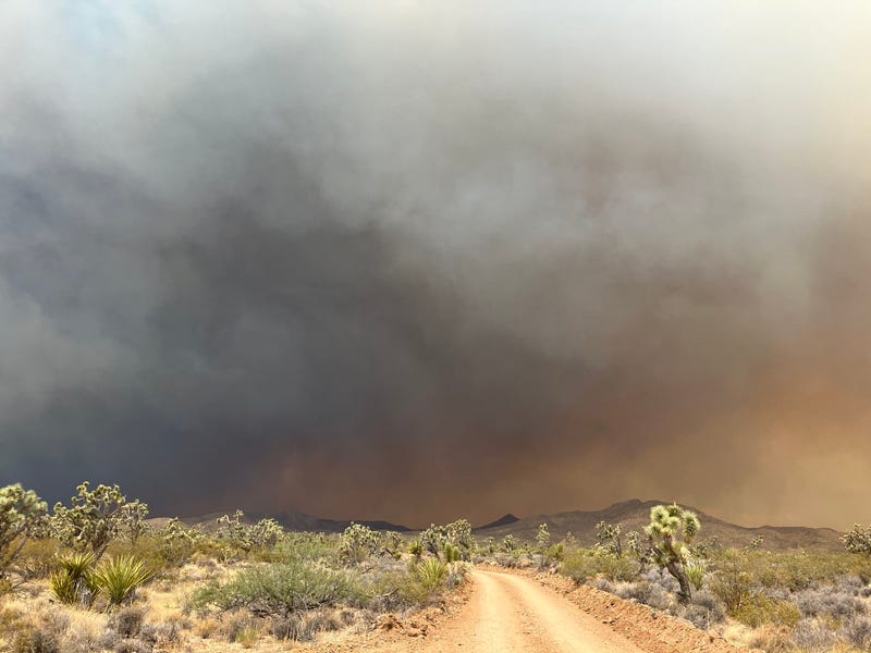 The York Fire burns in the Mojave National Preserve