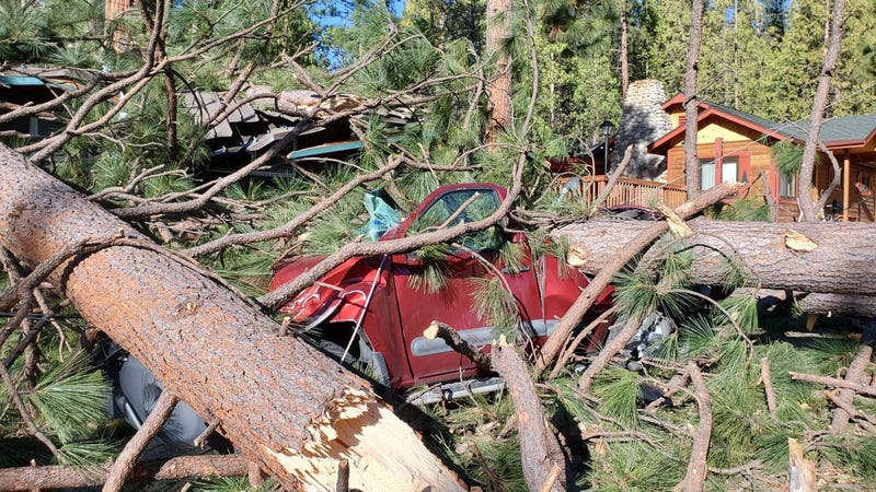 Officials estimate hundreds of downed trees throughout the park.