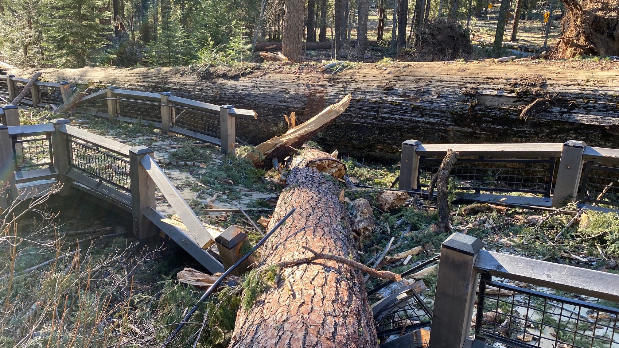 Yosemite storm damage could be upwards of $200M, costliest in park's history