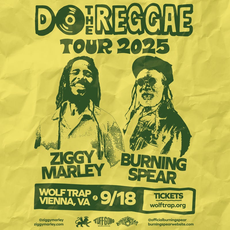 Ziggy Marley