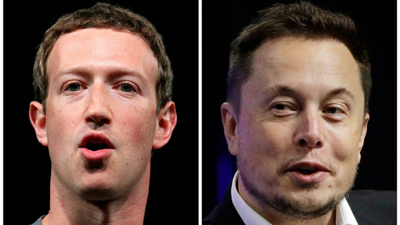 ZUCKMUSKCOVER