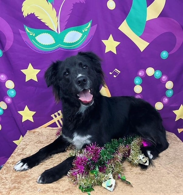 Zeus