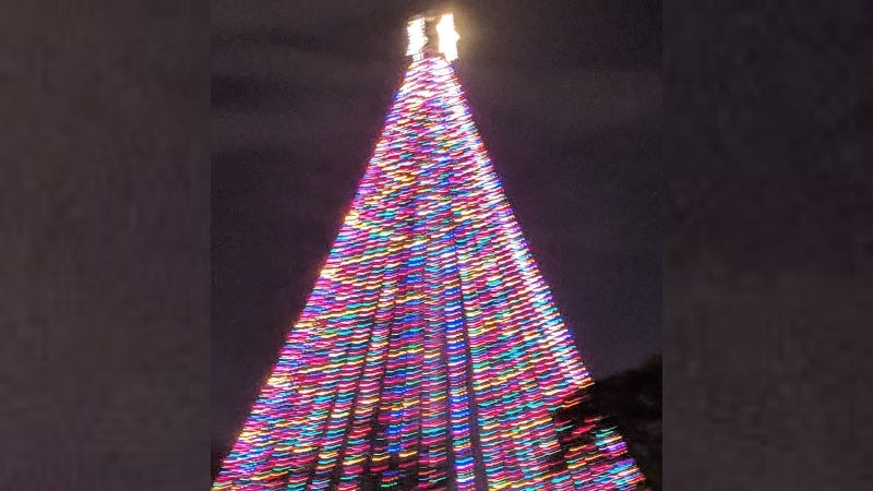 ziler Park Tree HR 2019