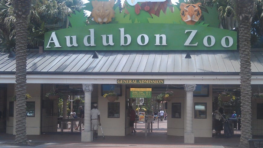 N.O. councilmember Giarrusso sounds off about “Blue and the Zoo” cancellation